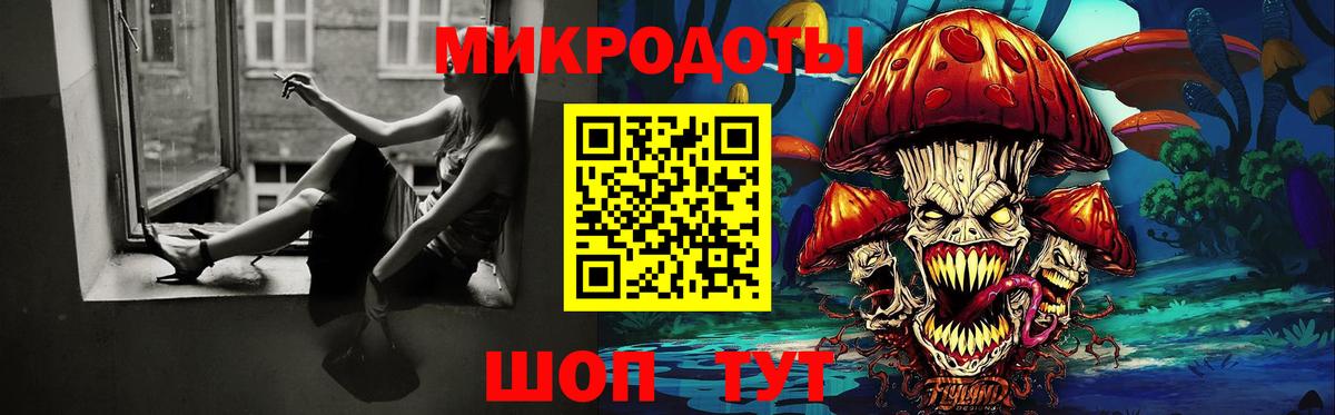 Галлюциногенные грибы Psilocybine cubensis Фрязино